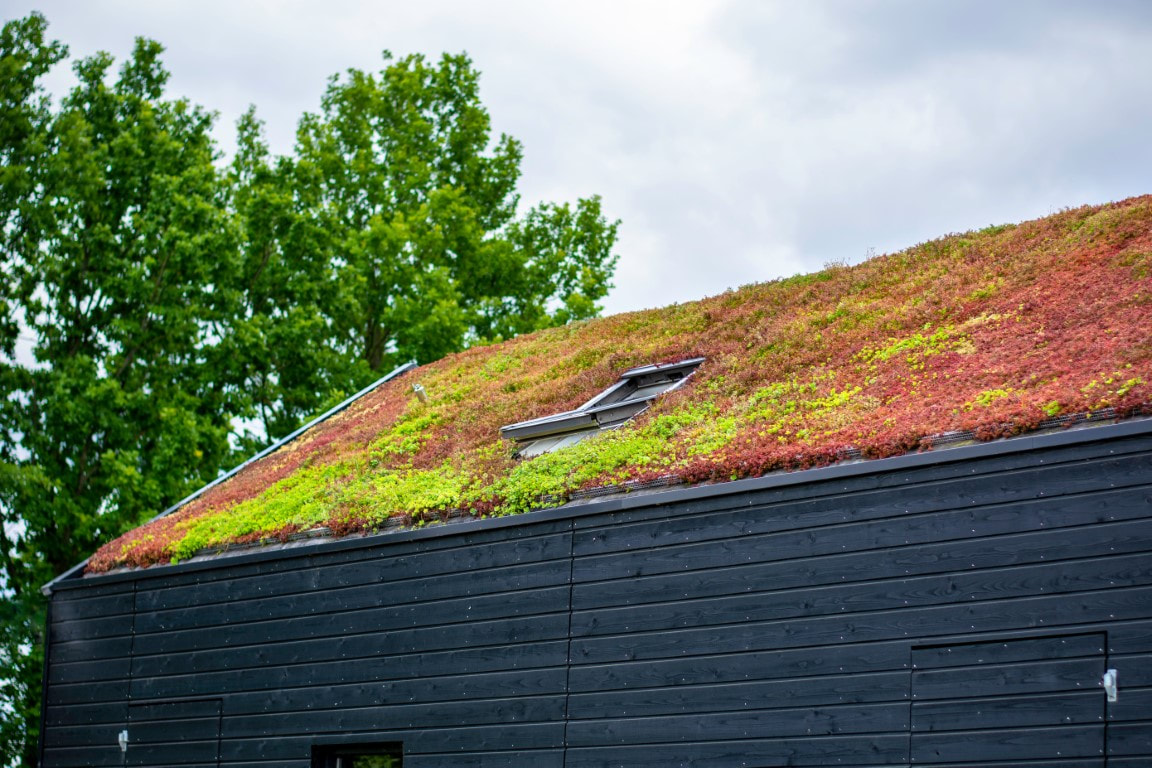 green roof installation