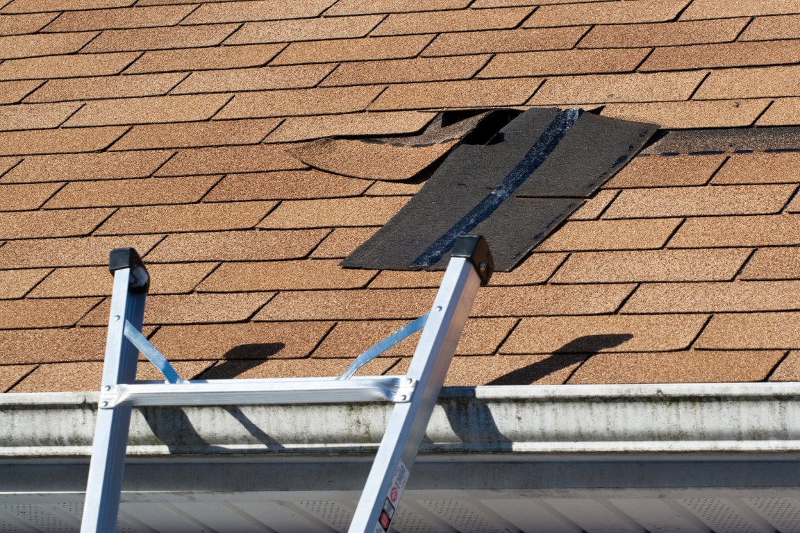 roofing services near me
