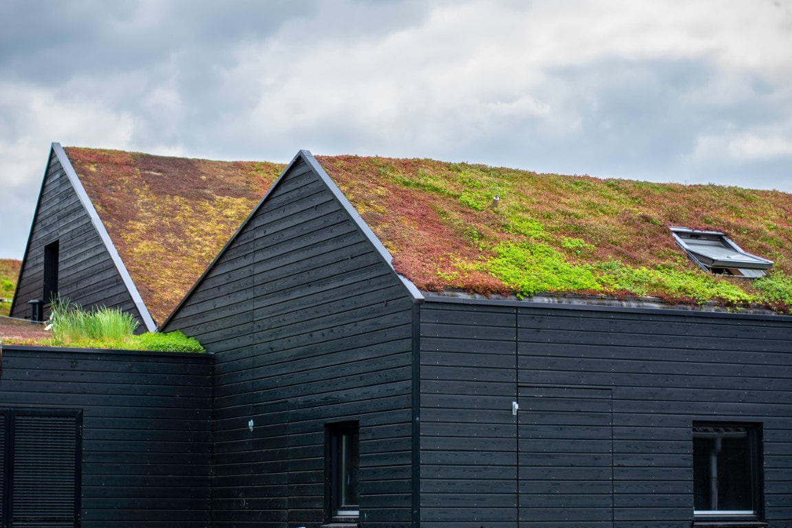 green roof contractors